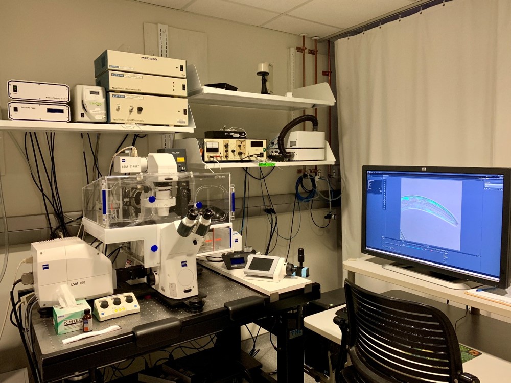 Zeiss LSM 700 Confocal